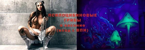 apvp Нефтекумск