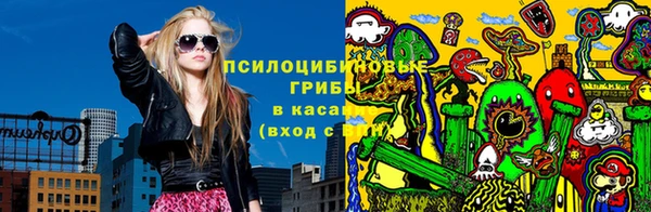 apvp Нефтекумск